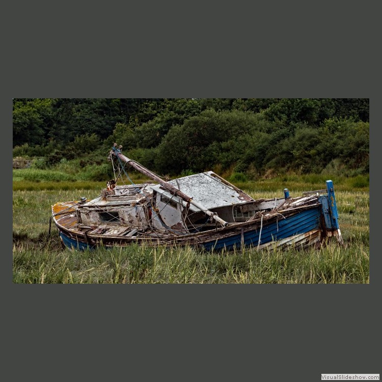 Advanced Section Commended - In Need of TLC by Alan Gaines