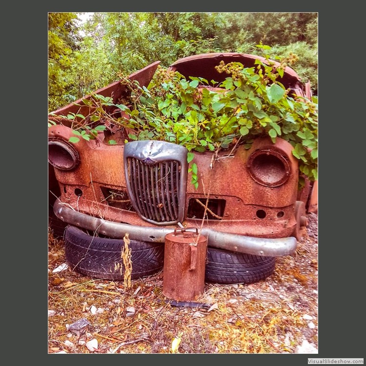 Advanced Section Commended - Once my Pride and Joy by Alan Foulkes