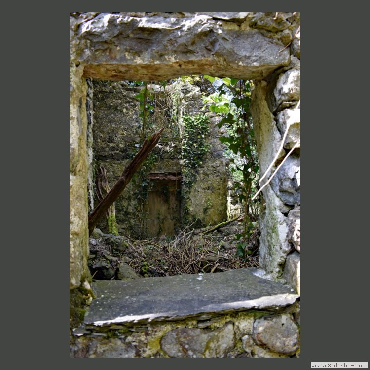 Intermediate Section Highly Commended - The 'Living' Room by Sheila Shepley