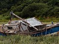 Advanced Section Commended - In Need of TLC by Alan Gaines
