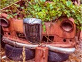 Advanced Section Commended - Once my Pride and Joy by Alan Foulkes
