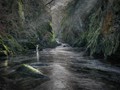 Advanced Section Third Place - Fairy Glen by Steve Morris