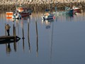 Intermediate Section Third Place - Rhos Reflections by David Smith