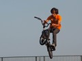 Intermediate Section Highly Commended - Trick Cyclist by David Smith