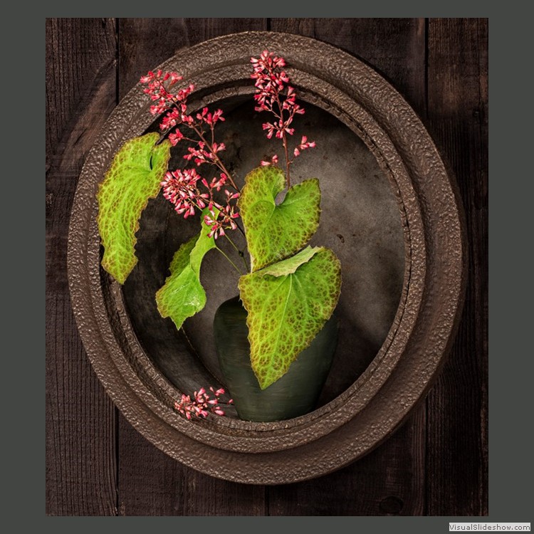 Advanced Section Second Place - In the Frame by Viv Healy