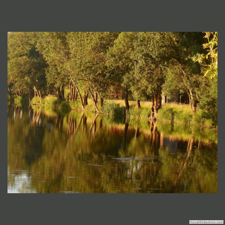 Intermediate Section Commended - Riverside Reflections by Jane Tyson