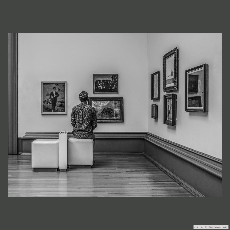 Advanced Section Highly Commended - You've Been Framed by Viv Healy