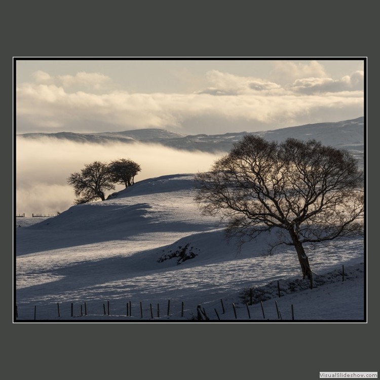 Intermediate Section Third Place - Winter Landscape 1 by Robert Scott