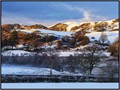 Intermediate Section Highly Commended - Winter Lanscape 11 by Robert Scott