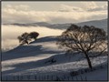 Intermediate Section Third Place - Winter Landscape 1 by Robert Scott