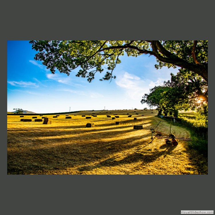 Intermediate Section Highly Commended - Long Shadows Falling Over the Meadows by Bill Walker