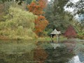 Intermediate Section Commended - Bodnant Garden Boating Lake by Ian Paisley