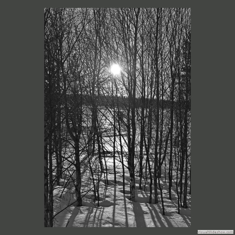 Intermediate Section Commended - Winter Wonderland in Finland by Anwen Crawford