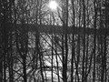 Intermediate Section Commended - Winter Wonderland in Finland by Anwen Crawford