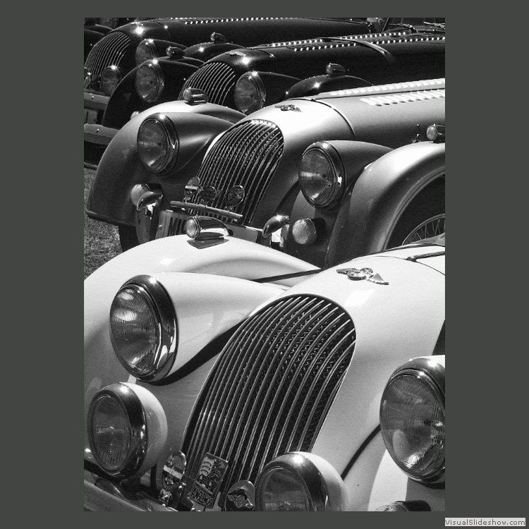 Advanced Section Commended - Morgan Meet by Jane Tyson