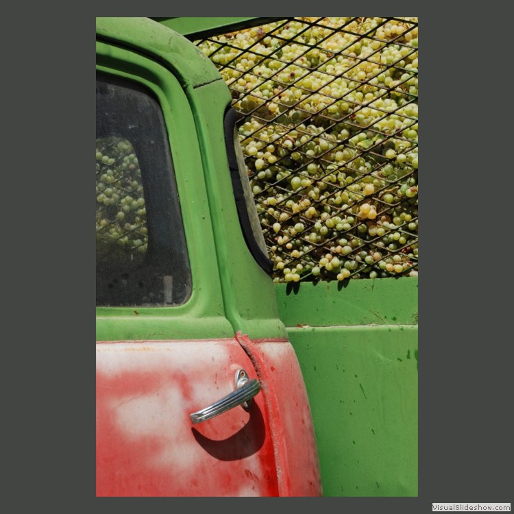 Advanced Section First Place - A Good Vintage by Jane Tyson