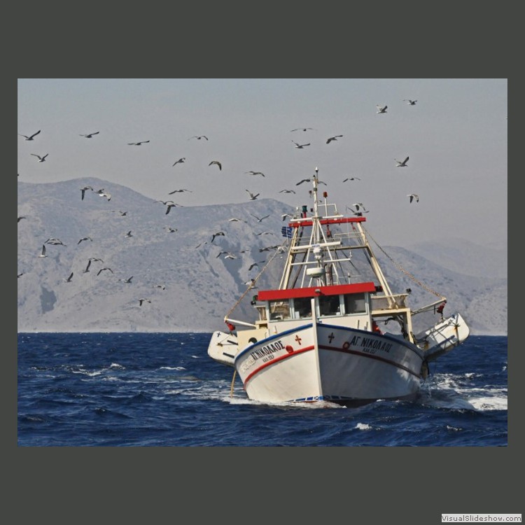 Advanced Section Highly Commended - Catch of the Day by Bob Tyson