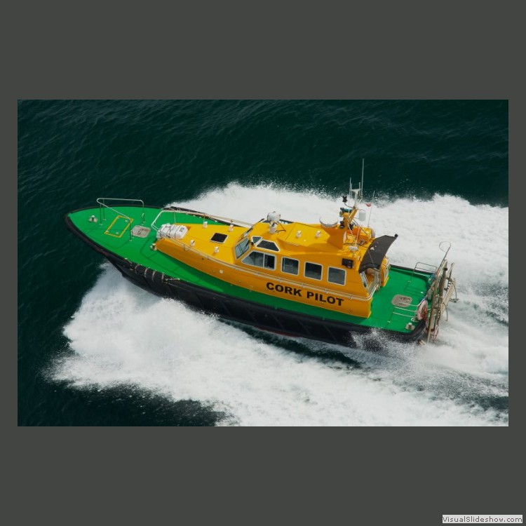 Intermediate Section Highly Commended - Cork Pilot by Ian Paisley