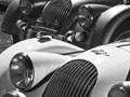 Advanced Section Commended - Morgan Meet by Jane Tyson