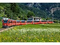 Advanced Section Commended - The Berninia Express by Andy Pyatt
