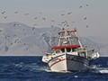 Advanced Section Highly Commended - Catch of the Day by Bob Tyson