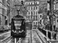 Advanced Section Second Place - Tram 52 by Phil Rogers