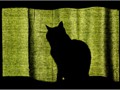 Advanced Section Commended - On the Lookout by Peter Carlyon