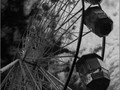 Advanced Section Commended - Reach for the Sky by Peter Carlyon