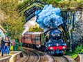 Intermediate Section Commended - Flying Scotsman Low Flying by Bill Walker