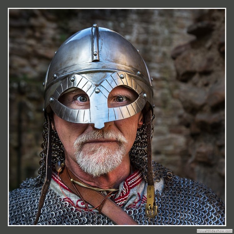 Advanced Section Highly Commended - Viking Elder by Andy Pyatt