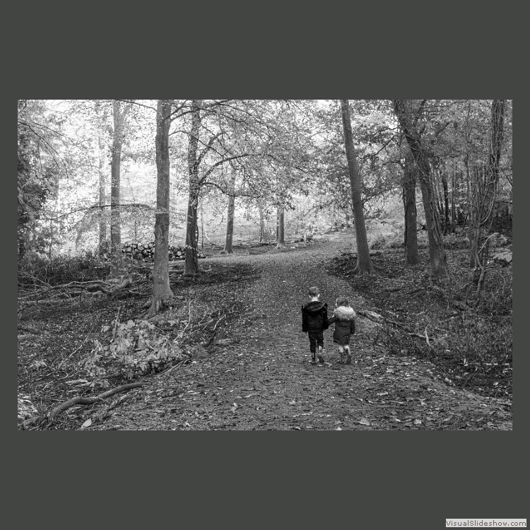 Intermediate Section Highly Commended - Babes in the Wood by Lois Newell