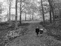 Intermediate Section Highly Commended - Babes in the Wood by Lois Newell