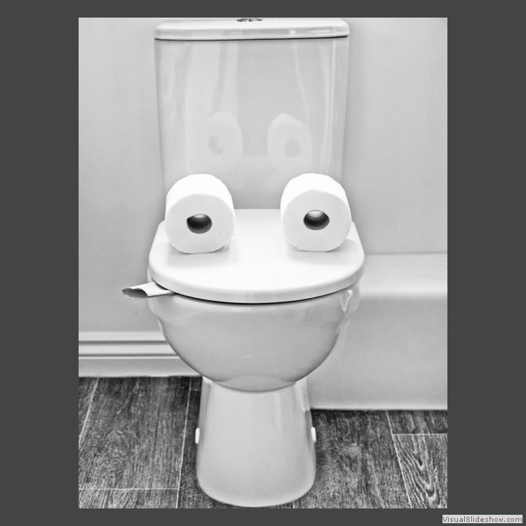 Advanced Section Commended - Toilet Humour by Phil Rogers