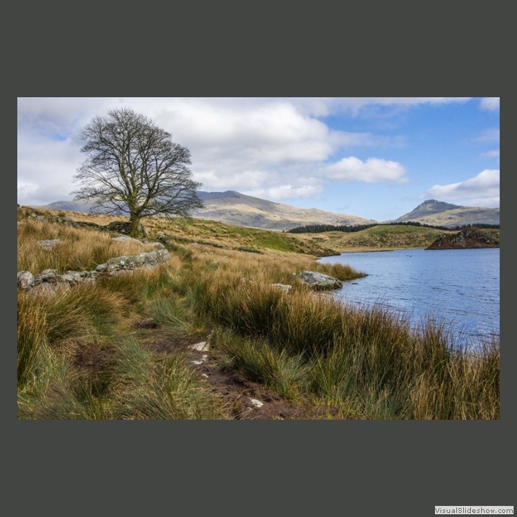 Advanced Section Commended - The Lonely Tree by Alan Foulkes