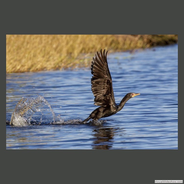 Advanced Section Highly Commended - Cleared for Take Off by John Jones