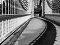 Intermediate Section Highly Commended - Catenary Curves by Lois Newell