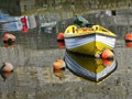 Advanced Section Commended - Harbour Reflections by Jane Tyson