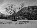 Intermediate Section Third Place - Winter Fell by John Williams