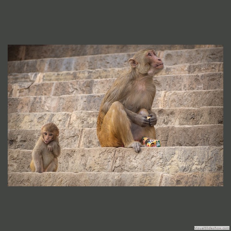 Advanced Section Highly Commended - Caught in the Moment by Sam Loughran