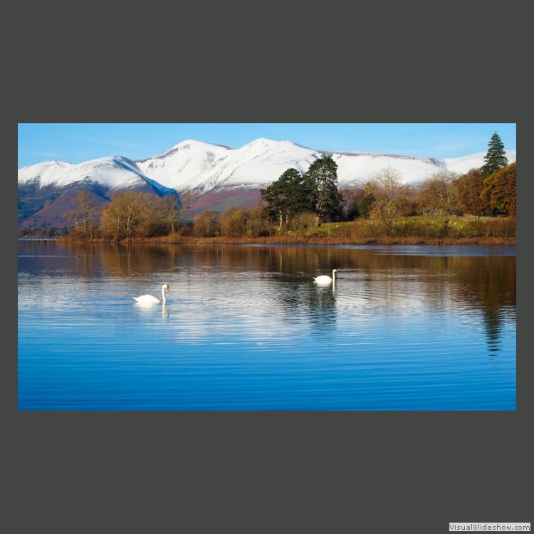 Intermediate Section Highly Commended - Swans on Derwentwater by John Williams