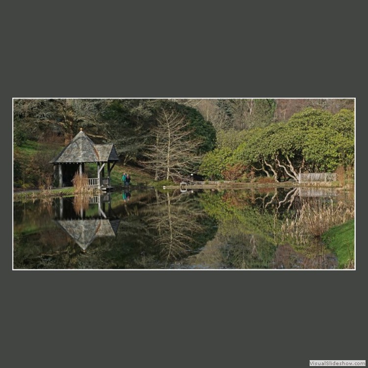 Advanced Section Commended - Bodnant Reflections by Jane Tyson