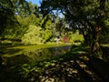 Intermediate Section Commended - Skating Pond and Boat House by Ian Paisley