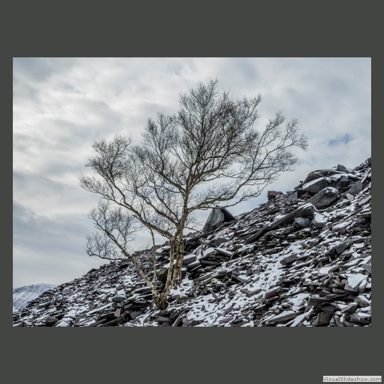 Advanced Section Commended - Still Hanging On by Terry James