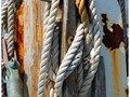 Advanced Section Commended - Rust 'n Ropes by Jane Tyson