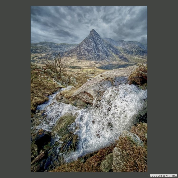 Advanced Section Highly Commended - The battle Continues by Steve Morris