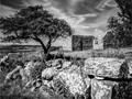 Advanced Section Commended - A View of the Past by Alan Foulkes