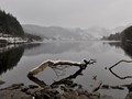 Advanced Section Commended - Llyn Crafnant Winter by Dave Smith