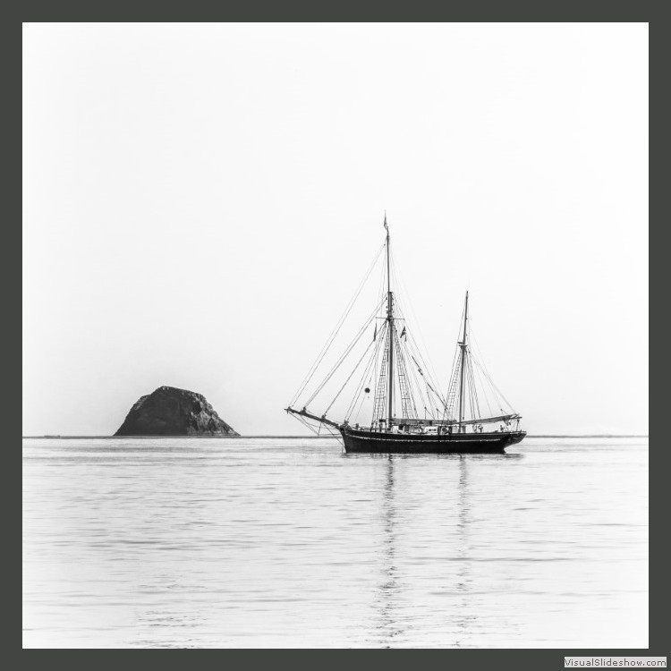 Advanced Section Commended - Levenish St Kilda by Sam Loughran
