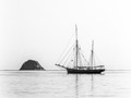 Advanced Section Commended - Levenish St Kilda by Sam Loughran