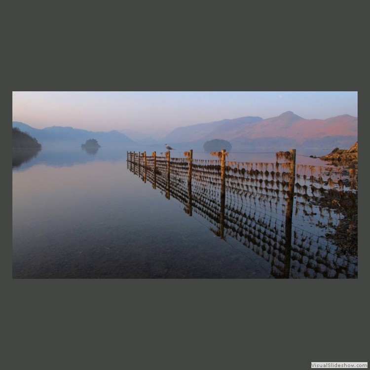 Advanced Section Commended - Morning Light on Derwentwater by Robert Tyson